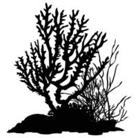 A Coral Reef Silhouette isolated on a white background. vector