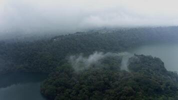 tropical bosque y lago mediante nubes video