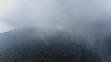 Tropical forest and lake through clouds video