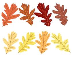 Set of silhouettes of colored oak leaves vector