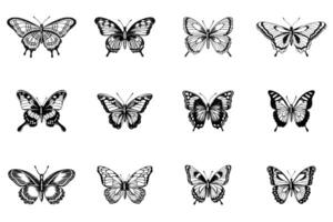 Set of 12 different tropical butterflies. Black and white ink isolated illustration in sketch line style. vector