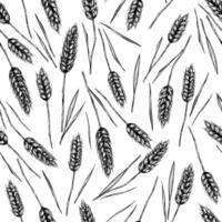 Seamless pattern with wheat, rye or barley ears and straws. Black and white ink illustration in sketch line style. vector