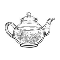 Teapot, mint tea. Hand drawn illustration in outline style. vector