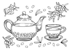 Hand drawn teapot, cup, sea buckthorn. illustration in outline style. vector