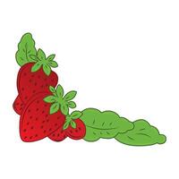 Illustration of Red strawberry fruit vector