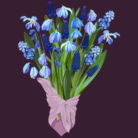 Bouquet of snowdrops and muscari in a pink scarf on a dark background vector