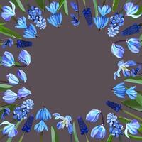 Frame of snowdrops and muscari on a gray background vector