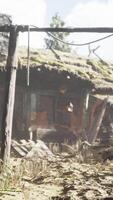 old retro village in pine forest video