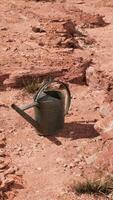 canette de boisson dans le désert de sable et de rochers video