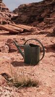 Beverage can in sand and rocks desert video