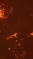 large flames of forest fire at night video