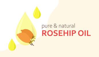 Rosehip oil. Template for cosmetic product. Red berry fruit. Drops of yellow oil. The text is pure and natural. Product banner design. Color image. Flat style. illustration. vector