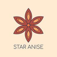 Geometric Star Anise Illustration with text. Symmetrical symbol Cinnamon. Aromatic Seasoning for Baking. Mulled wine spices. Condiment logo Color image with outline. Flat style. illustration vector