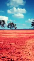 gebarsten zand in de zomer met de zon video