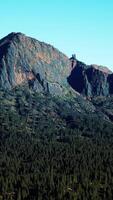 toma de gran angular del paisaje montañoso con bosque de primavera video