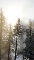 dramatic winter sunrise in the mountains video