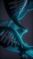 loop doppelhelicale struktur der dna-strang-nahaufnahme-animation video