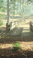 vieux pont en bois au-dessus d'un petit ruisseau dans un parc video