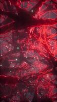 Journey through a neuron cell network inside the brain video