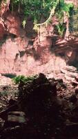 grande caverna rochosa de fadas com plantas verdes video