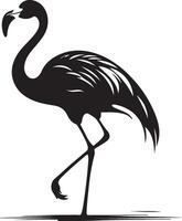 Flamingo Silhouette Illustration White Background vector