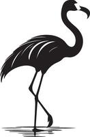 Flamingo Silhouette Illustration White Background vector