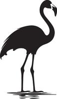 Flamingo Silhouette Illustration White Background vector