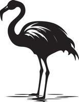 Flamingo Silhouette Illustration White Background vector