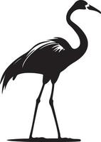 Flamingo Silhouette Illustration White Background vector