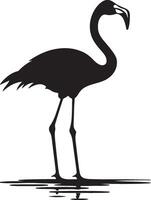 Flamingo Silhouette Illustration White Background vector