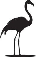 Flamingo Silhouette Illustration White Background vector