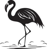 Flamingo Silhouette Illustration White Background vector