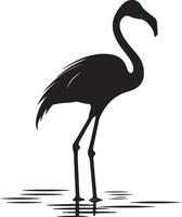 Flamingo Silhouette Illustration White Background vector