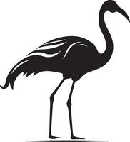 Flamingo Silhouette Illustration White Background vector