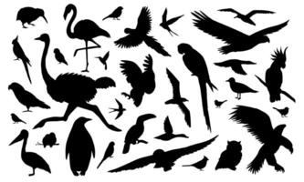 siluetas de aves vector