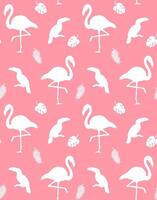 seamless pattern of flamingo and toucan silhouette vector