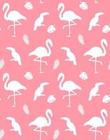 seamless pattern of flamingo and toucan silhouette vector