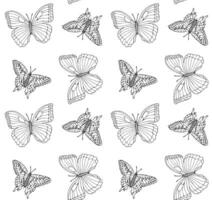 Seamless pattern of sketch butterfly vector