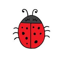 Hand drawn doodle sketch ladybug vector