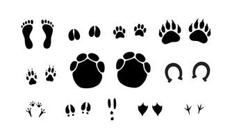 Set of different animals foot print vector