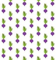 seamless pattern of cartoon beet root vector