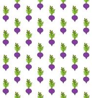 seamless pattern of cartoon beet root vector