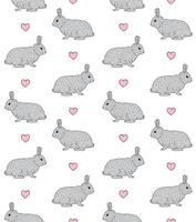 Seamless pattern of flat rabbit bunny vector