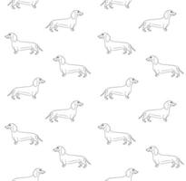 Seamless pattern of hand drawn dachshund vector