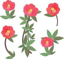 Red beautiful camellia. Set of flowers. Template for an invitation card. Flower buds on a branch. vector