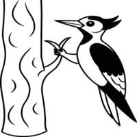 Woodpecker coloring pages. Woodpecker bird outline. Bird line art for coloring book vector