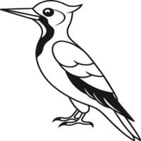 Woodpecker coloring pages. Woodpecker bird outline. Bird line art for coloring book vector