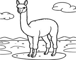 Alpaca coloring pages. Alpaca animal outline for coloring book. Animals Line Art vector