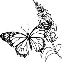 Monarch butterfly flying coloring pages. Butterfly on flower coloring pages vector