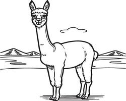 Alpaca coloring pages. Alpaca animal outline for coloring book. Animals Line Art vector